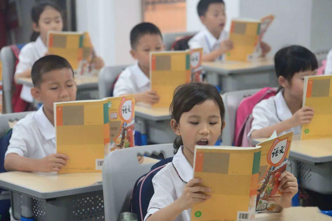 世相丨我們也上課啦!多圖直擊新會最后一批小學(xué)生返校