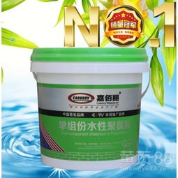 單組份水性聚氨酯防水涂料 環(huán)保高效的防水新選擇